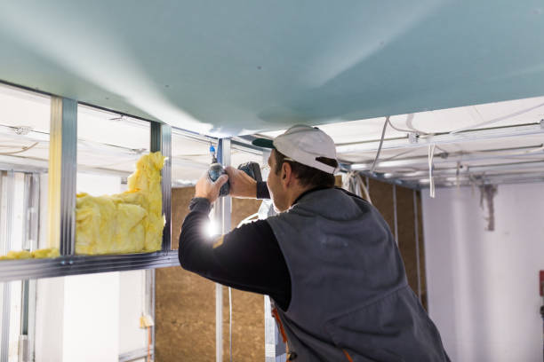 Best Spray Foam Insulation in Houston, MO