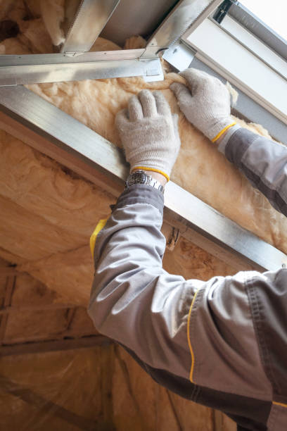 Best Insulation Maintenance and Repair in Houston, MO