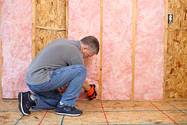 Best Eco-Friendly Insulation in Houston, MO